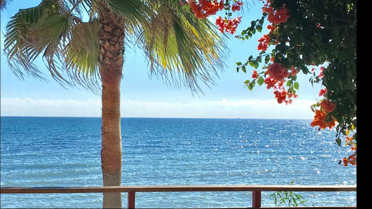 Mi Capricho 9a Beachfront- With Sea View - Costa Del Sol *